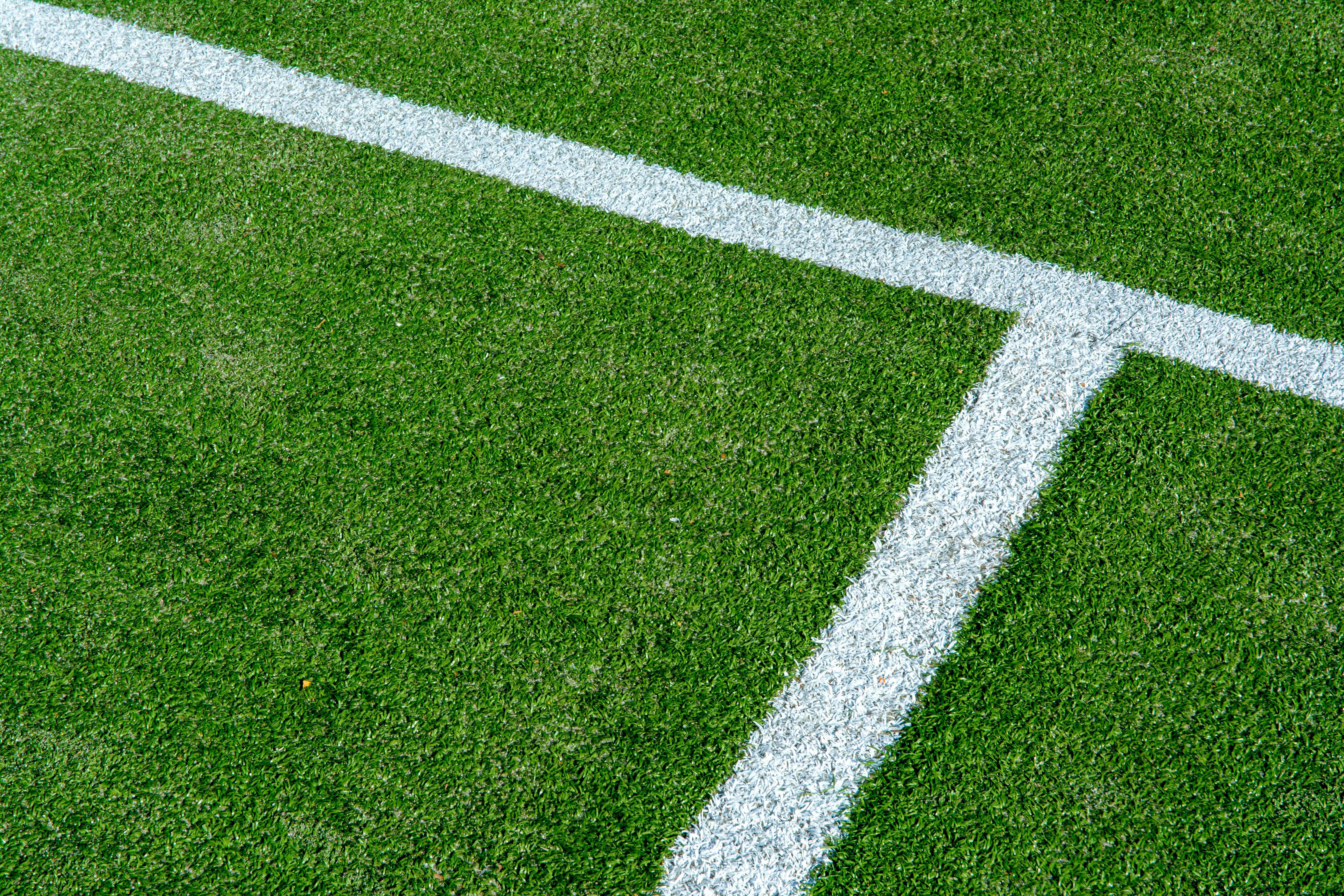 Grass
